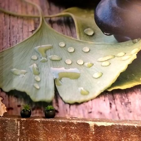 Hotel Ginkgo - Spa Biloba แก็งแปร์ ภายนอก รูปภาพ